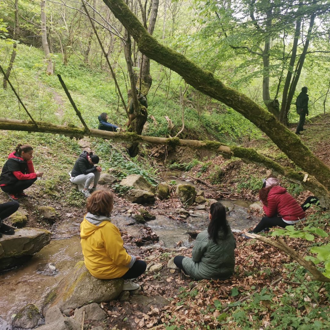 Copy of 68fd9a6c-075f-4af3-991e-7ee804f52bc7