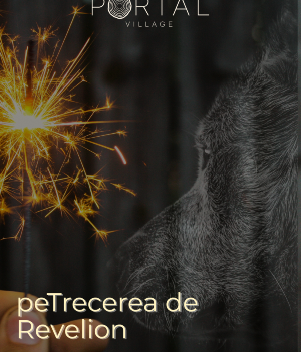 Design fără titlu-2